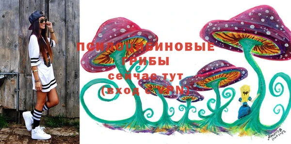 твердый Алексеевка