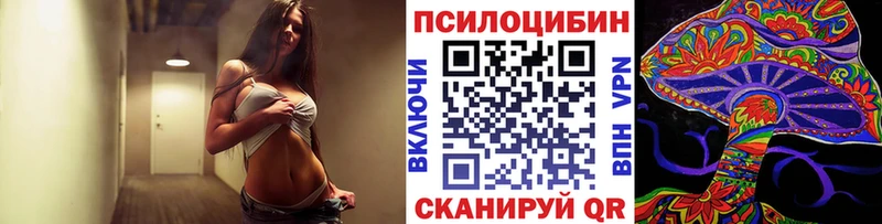Псилоцибиновые грибы мухоморы  даркнет сайт  Каргополь 
