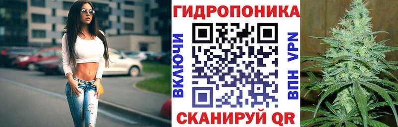 Канабис MAZAR  цены   ОМГ ОМГ ссылка  Каргополь 